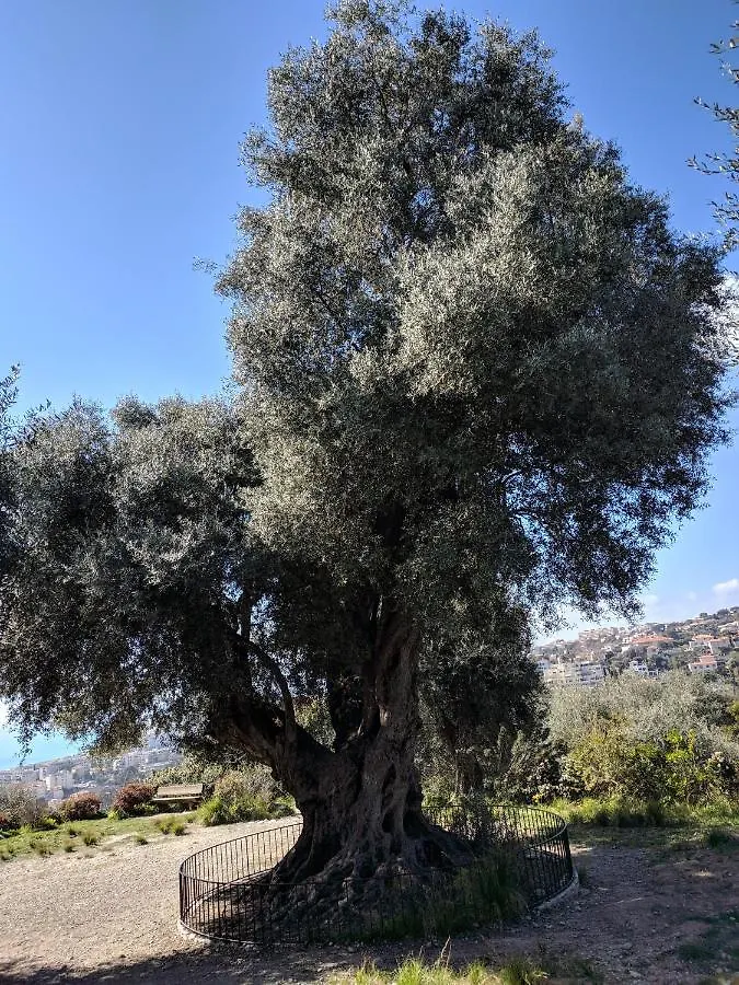 Palais Ophelia Διαμέρισμα Νίκαια Γαλλία